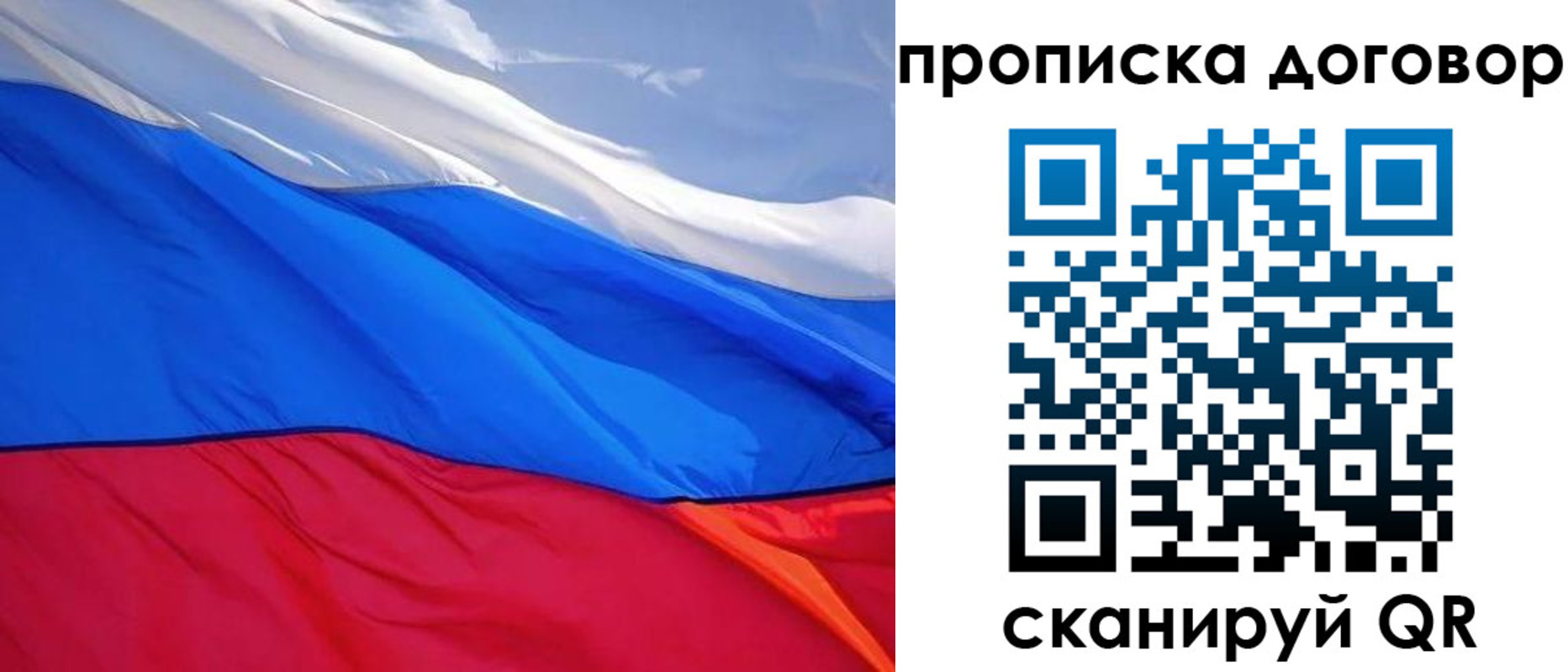 прописка гарантия в Луге